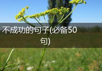 不成功的句子(必备50句)