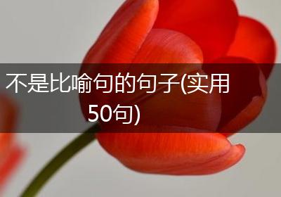 不是比喻句的句子(实用50句)