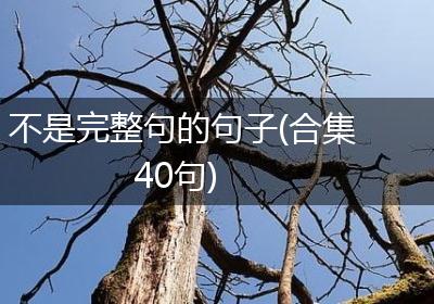 不是完整句的句子(合集40句)