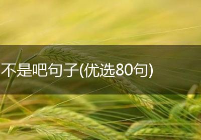 不是吧句子(优选80句)