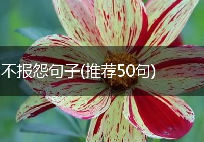 不报怨句子(推荐50句)