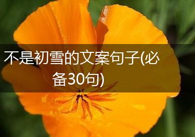 不是初雪的文案句子(必备30句)