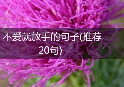 不爱就放手的句子(推荐20句)