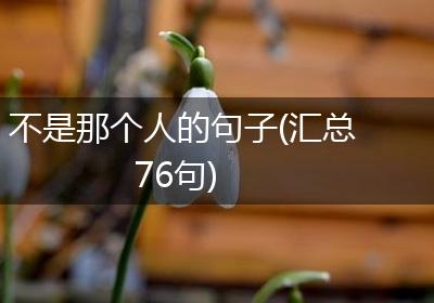 不是那个人的句子(汇总76句)