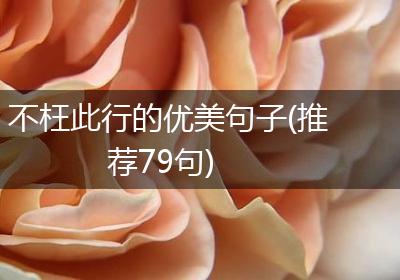 不枉此行的优美句子(推荐79句)
