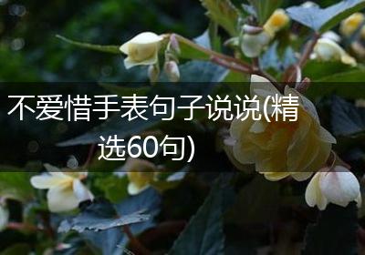 不爱惜手表句子说说(精选60句)