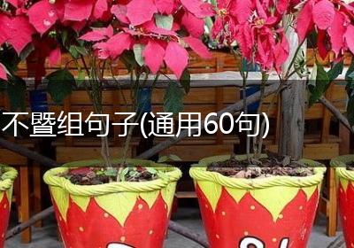不暨组句子(通用60句)