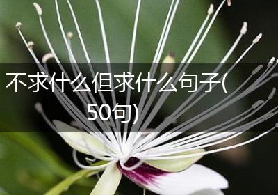 不求什么但求什么句子(50句)