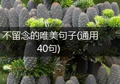 不留念的唯美句子(通用40句)