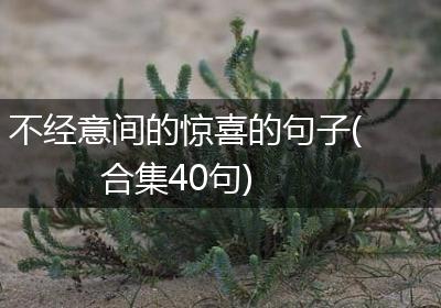 不经意间的惊喜的句子(合集40句)