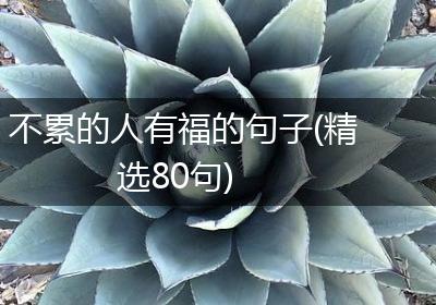 不累的人有福的句子(精选80句)