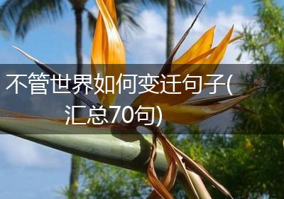 不管世界如何变迁句子(汇总70句)