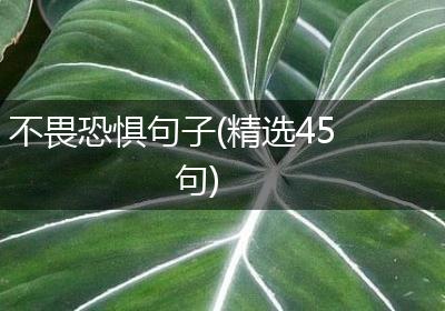不畏恐惧句子(精选45句)