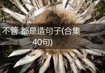 不管 都是造句子(合集40句)
