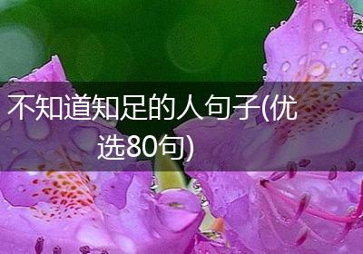 不知道知足的人句子(优选80句)