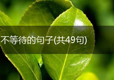 不等待的句子(共49句)