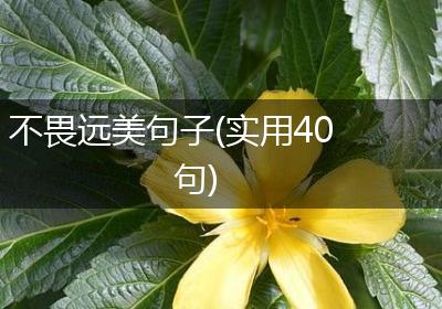 不畏远美句子(实用40句)