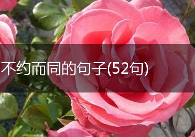 不约而同的句子(52句)