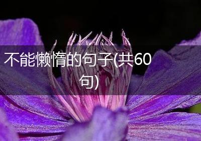 不能懒惰的句子(共60句)