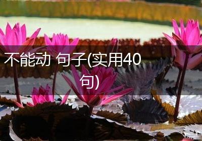 不能动 句子(实用40句)
