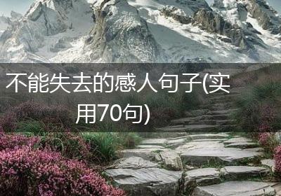 不能失去的感人句子(实用70句)