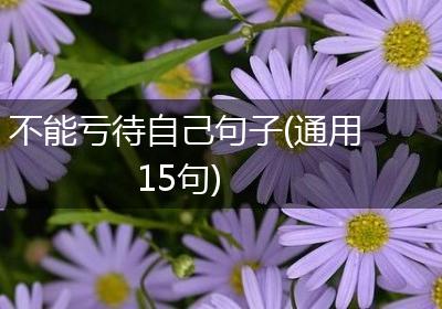 不能亏待自己句子(通用15句)