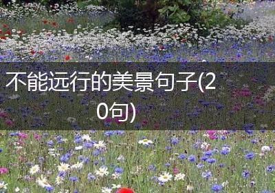 不能远行的美景句子(20句)
