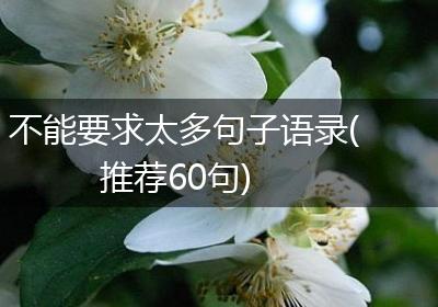 不能要求太多句子语录(推荐60句)