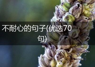 不耐心的句子(优选70句)