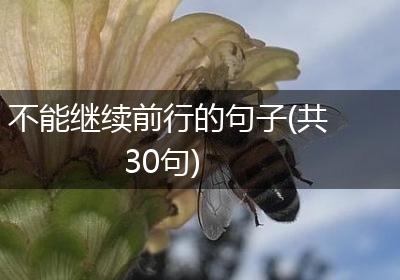 不能继续前行的句子(共30句)