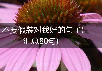 不要假装对我好的句子(汇总80句)