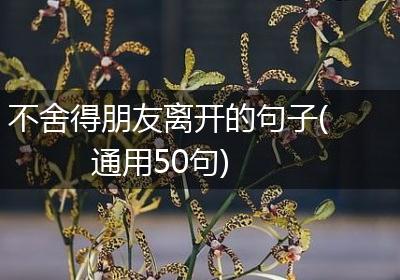 不舍得朋友离开的句子(通用50句)