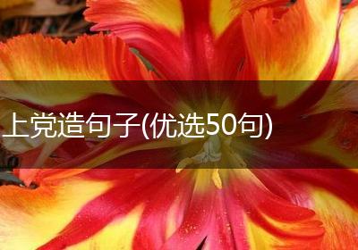 上党造句子(优选50句)