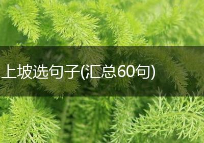 上坡选句子(汇总60句)