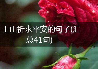 上山祈求平安的句子(汇总41句)