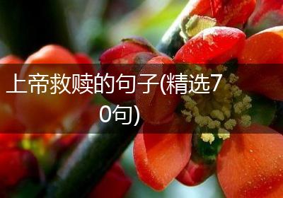 上帝救赎的句子(精选70句)