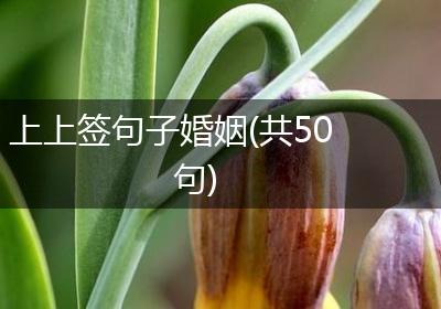 上上签句子婚姻(共50句)