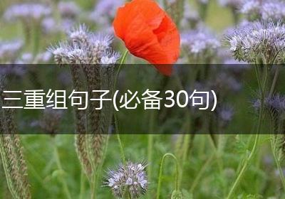 三重组句子(必备30句)