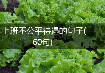 上班不公平待遇的句子(60句)