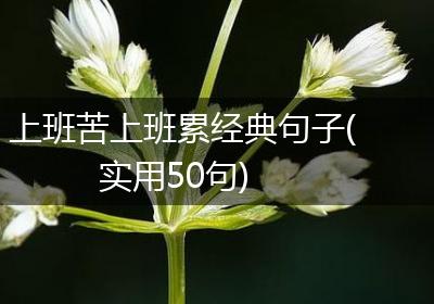 上班苦上班累经典句子(实用50句)