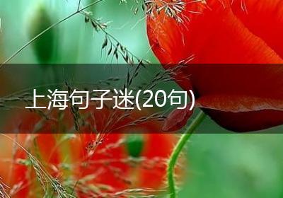 上海句子迷(20句)