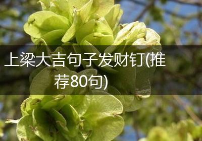 上梁大吉句子发财钉(推荐80句)