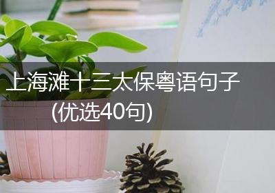 上海滩十三太保粤语句子(优选40句)