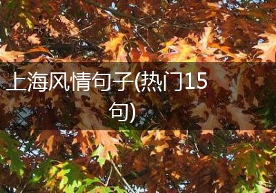 上海风情句子(热门15句)