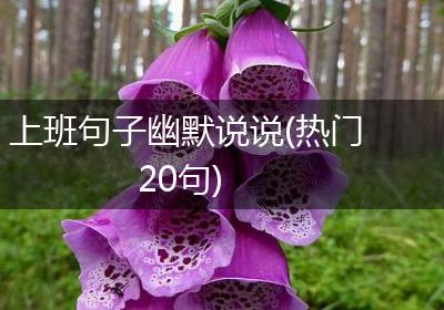 上班句子幽默说说(热门20句)