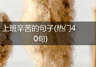 上班辛苦的句子(热门40句)