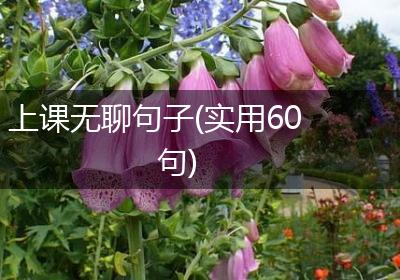 上课无聊句子(实用60句)