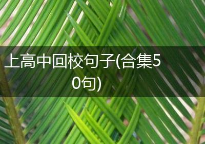 上高中回校句子(合集50句)