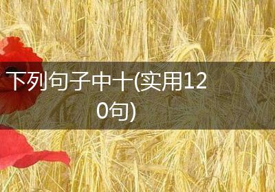 下列句子中十(实用120句)