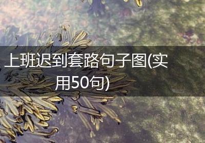 上班迟到套路句子图(实用50句)